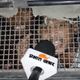 Bihar Govt to Drop NEET Protest Charges and Free Detained Demonstrators