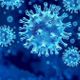Argentina Widens Hantavirus Probe, Tests Rats in Mendoza