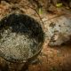 Two Sanitation Workers Die Cleaning Septic Tank in Tamil Nadu; DASAM Demands Accountability