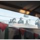 Livorno Flotilla and Dockworkers Block Ship Supplying U.S. Military Base