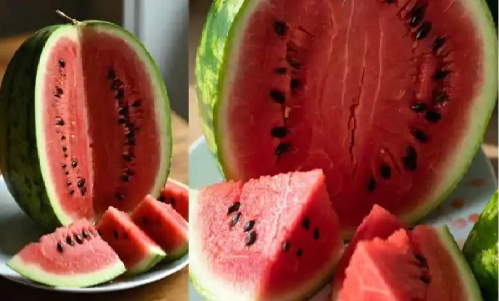 Bihar Watermelon Poisoning: 8 Family Members Hospitalized, Police Investigate