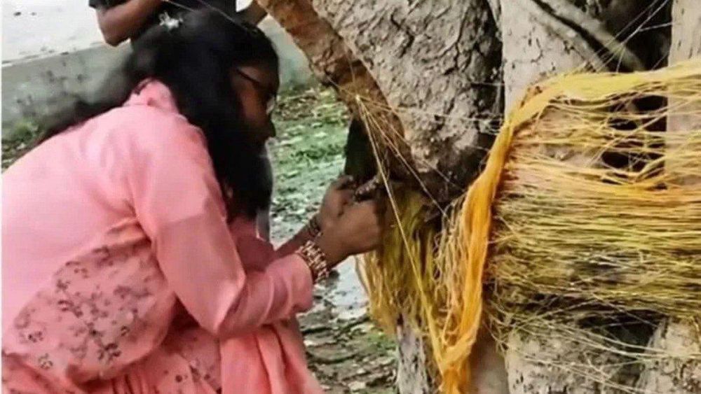 Bihar Teacher Suspended for Cutting Vat Savitri Threads on Banyan Tree