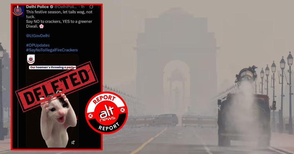 Delhi Police Removes Firecracker Awareness Video from X Hours After Posting