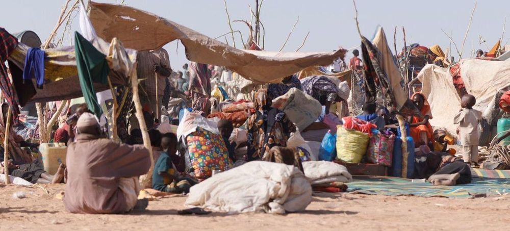 One Year After RSF Capture, El Fasher Civilians Still Face Killings, Detention and Torture: Amnesty