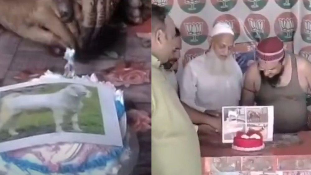 Ghaziabad Muslims Linked to BJP Celebrate Eco-Friendly Eid al-Adha with Goat-Shaped Cakes