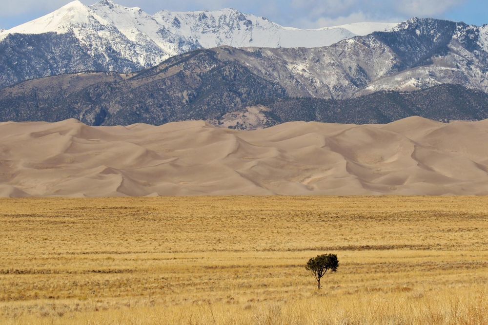 UN Weather Agency Warns of Near-Permanent Global Temperature Records by 2030