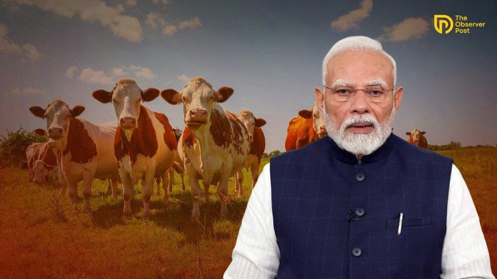 Centre Rules Out Nationwide Cow Slaughter Ban or National Animal Status for Cow