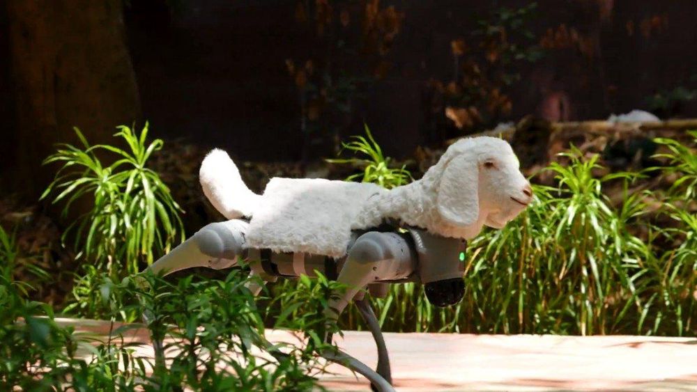 PETA India Launches 'Awaaz', an AI Robot Goat, to Promote Veganism