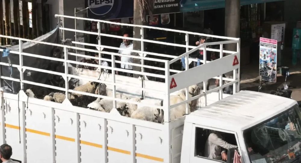 Mumbai Civic Authority Prohibits Keeping Goats for Eid Sacrifice in Residential Societies After Hindu Group Protests