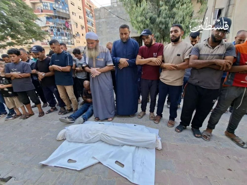 Israeli Airstrikes Kill 19 Palestinians in Gaza, Including Two Children, Amid Trump's Claimed Ceasefire Breakthrough