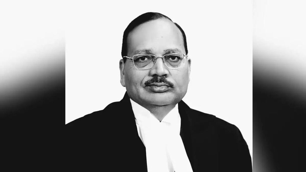 CJI Surya Kant: Some Unemployed Youth, Like Cockroaches, Become Media and Activists
