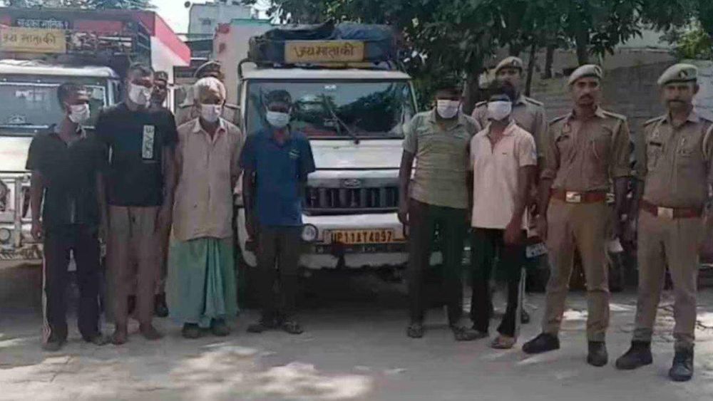 Five Arrested in Saharanpur; Police Seize 11 Bovines in Crackdown