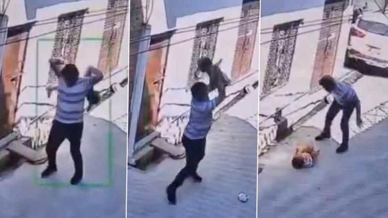 Firozabad Infanticide: Man Kills 18-Month-Old After Mother Rejects Marriage Proposal