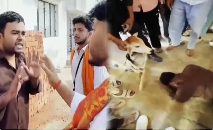 Barabanki Incident: Muslim Youth Allegedly Forced to Worship Calf by Cow Vigilantes