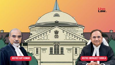 Allahabad HC Rebukes ADM for Rejecting Muslim Man's Voluntary Hindu Conversion