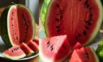 Bihar Watermelon Poisoning: 8 Family Members Hospitalized, Police Investigate