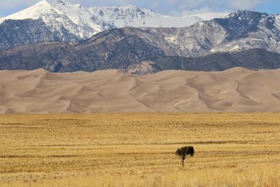 UN Weather Agency Warns of Near-Permanent Global Temperature Records by 2030