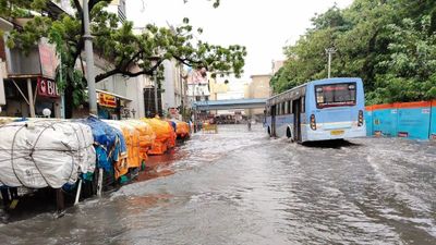Tamil Nadu Monsoon Floods: Homes and Fields Submerged