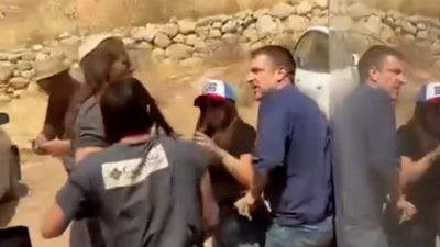 Israeli Settler Assaults Activist During Tour Spotlighting Violence
