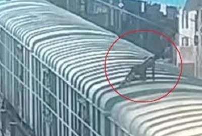 Tatanagar Railway Tragedy: Minor Dies After Electric Shock from High-Tension Wires
