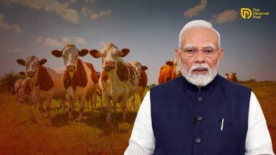 Centre Rules Out Nationwide Cow Slaughter Ban or National Animal Status for Cow