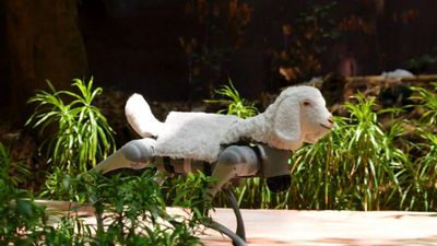 PETA India Launches 'Awaaz', an AI Robot Goat, to Promote Veganism