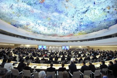 UN Report Warns of Reprisals Against Human Rights Defenders