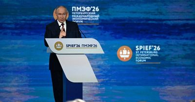 Putin Declines Zelenskyy's Peace Offer, Citing Lack of Progress in Ukraine War
