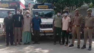 Five Arrested in Saharanpur; Police Seize 11 Bovines in Crackdown
