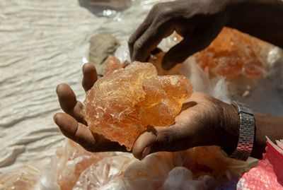 UN Warns: Sudan's War Economy, Led by Gum Arabic Trade, Fuels Conflict