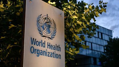 Unsafe Food: Global Impact, 1.5 Million Deaths, Children at Highest Risk - WHO