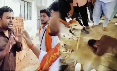 Barabanki Incident: Muslim Youth Allegedly Forced to Worship Calf by Cow Vigilantes